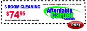 Affordable Carpet Cleaning Middleville MI